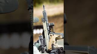 FN SCAR-H | MK17 Assault Rifle #rifle #shorts @sadiqahmedvines