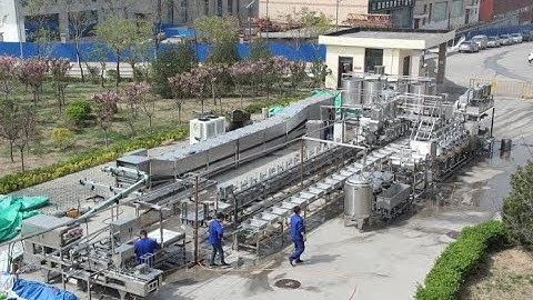 Auto tofu making line capacity:2000KG dry bean 8hours; complete set of tofu production line