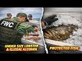 They Lied About the Catch — Then FWC Found a Protected Goliath Grouper Under the Ice
