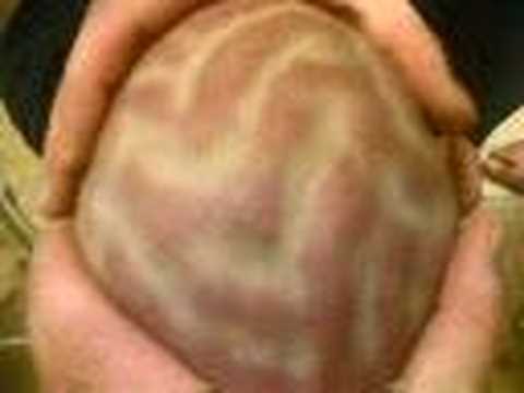 dave s brain popping out youtube
