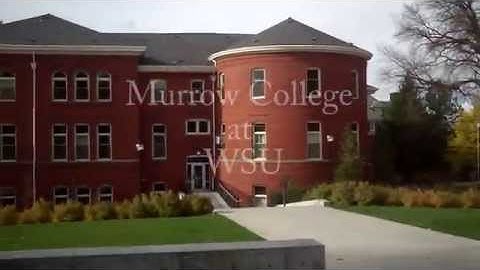 Tutorial 1 MP4 WSU Tutorial