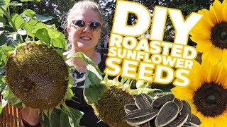 DIY Harvesting & Roasting Sunflower Seeds (5 DIFFERENT FLAVORS)