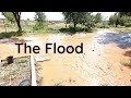 The Flood