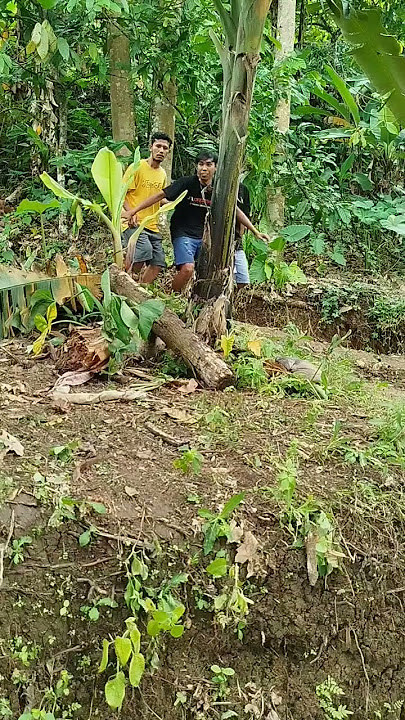 meatball seller who m44ng #comedy #funny #laugh #funny #sketbor #comedy #apkcendol