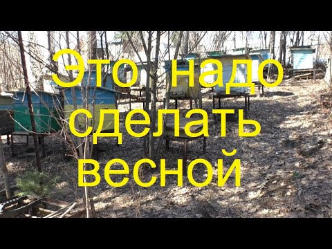 Чтобы пчелы весной
