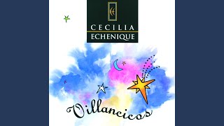 Video thumbnail of "Cecilia Echenique - En Una Noche Estrellada"