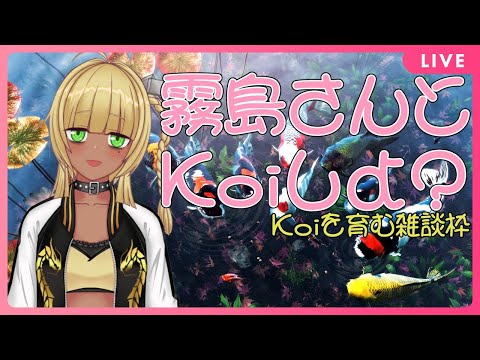 【 雑談 My Koi 】Koiを育む雑談枠 【 Vtuber 霧島響希 】