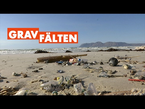 Video: Vita havet: havets miljöproblem