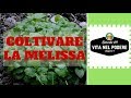 COLTIVARE LA MELISSA | VITA NEL PODERE #013 | ORTO E GIARDINAGGIO