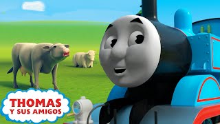 Thomas Y Percy En La Granja Aprendiendo Con Thomas Thomas Y Sus Amigos
