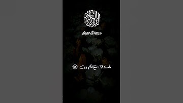 ماتيسر من آل عمران بصوت القارئ أحمد النفيس #القرآن