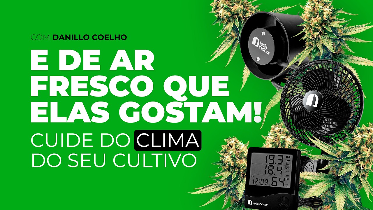 Controle Total do Ar no Grow: Equipamentos Básicos | Guia para Clima de Cultivo Indoor de Cannabis