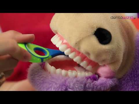 Wideo: Jak Myć Zęby Dziecka