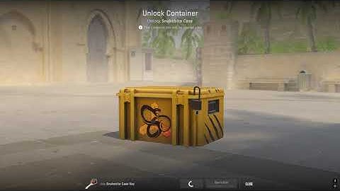 Back to Back Cases Until Back to Back Gold.... Day 114