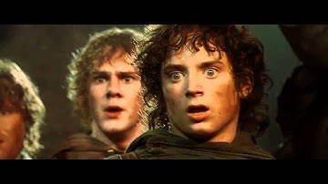 What Would Gandalf Do? - You Shall Not Pass (from FOTR)