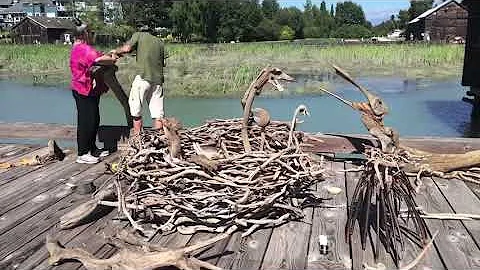 Richmond Maritime Festival - Log Nest Monsters by ...