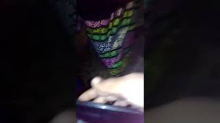 mon pronga nangi badang