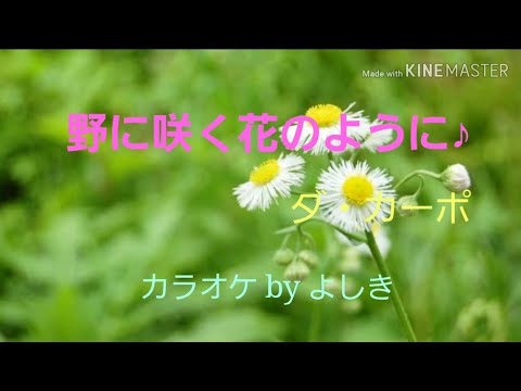 野に咲く花のように ダ カーポ カラオケ By よしき Youtube 野に咲く花のように ダ カーポ カラオケ By よしき Youtube