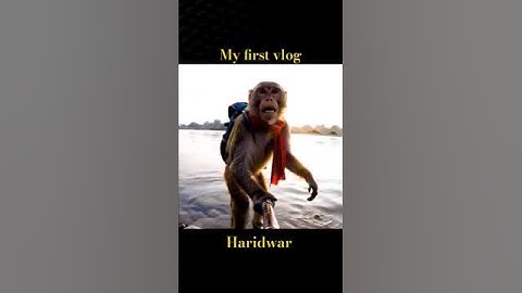 My First vlog || Monkey vlog AI #popular #monkeyvlog #tranding #viral #jayshiriram