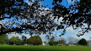 但愿一切亲吻 不悲不喜 (One Tree Hill)