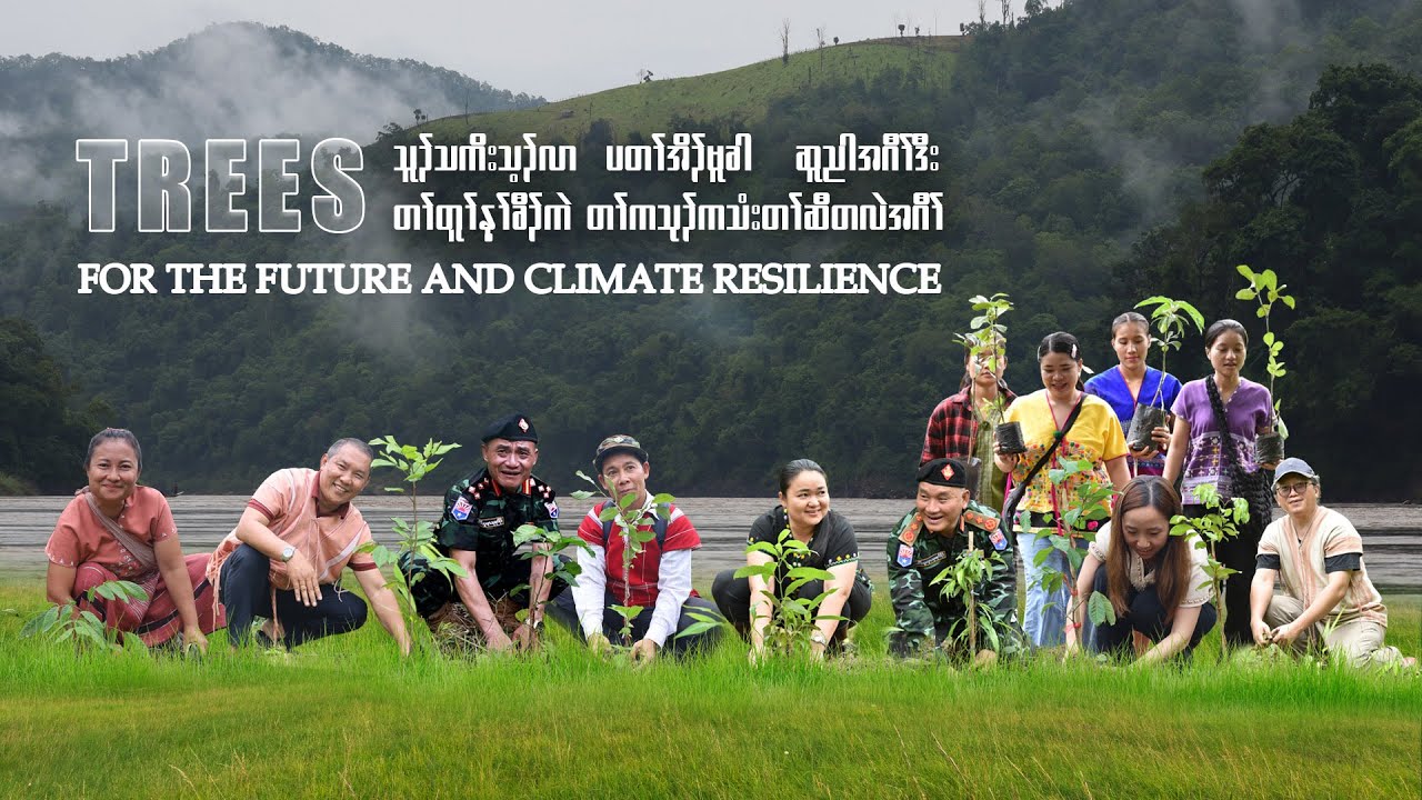 🌱 Trees for the Future and Climate Resilience🌳