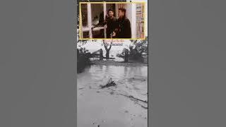 terjemahan lagu manu aman mutis oleh geri gani versi acostik 2022