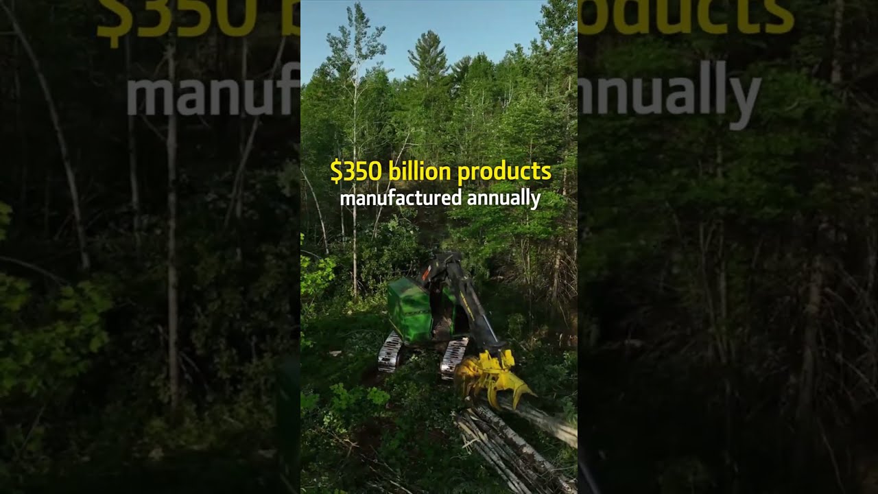 Timber Trends US Logging By The Numbers John Deere Forestry