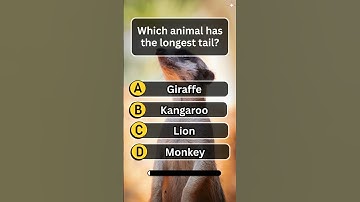 Gk questions in English |  | Trivia game questions | English Quiz Game