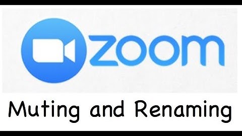 Zoom: Muting and Renaming