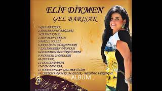 İNEBOLUDAN KUM GELİR MENDİL VEREMMİ & ELİF DİKMEN 2017 ALBÜM Resimi