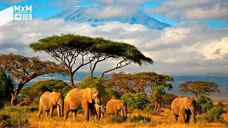 Madrileños por el mundo: Tanzania, un país que anima a la aventura