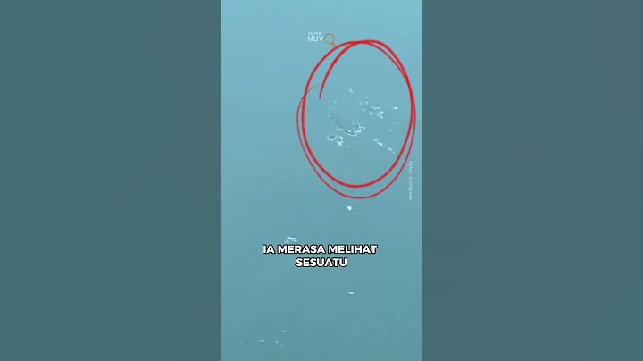 Pilot Ini Temukan Hal Aneh di Tengah Laut Saat Terbang ke Banjarmasin #Shorts