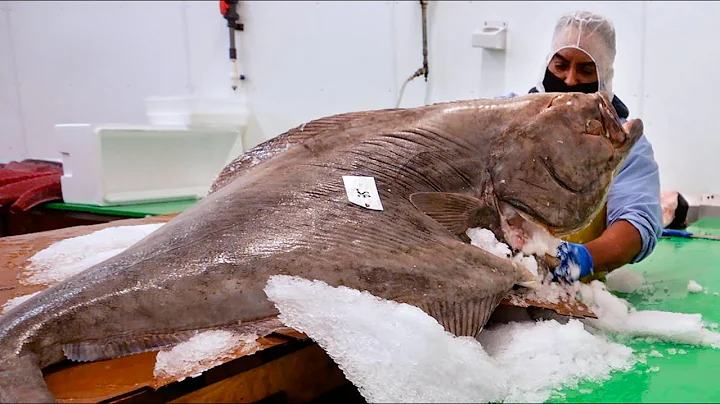 American Food - GIANT HALIBUT FISH Samuels Seafood...