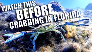 BEFORE YOU GO CRABBING IN FLORIDA...WATCH THIS! Florida Blue Crab Regulations that may SURPRISE YOU!