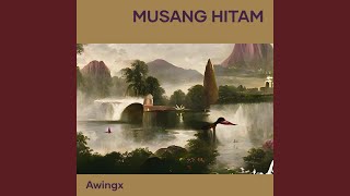 musang hitam