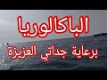 حكاية جداتي مع البكالوريا 