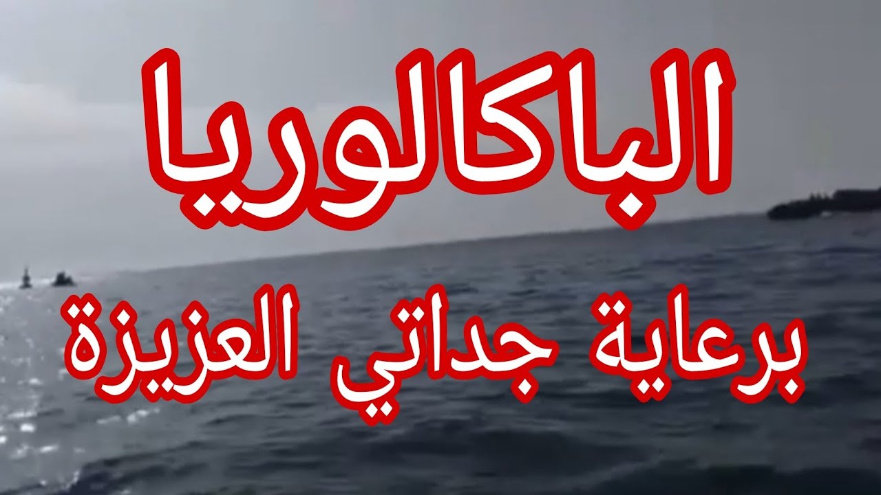 حكاية جداتي مع البكالوريا .