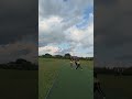 Stumps 🏏🔥 #youtubeshorts #cricket #bowlervibes