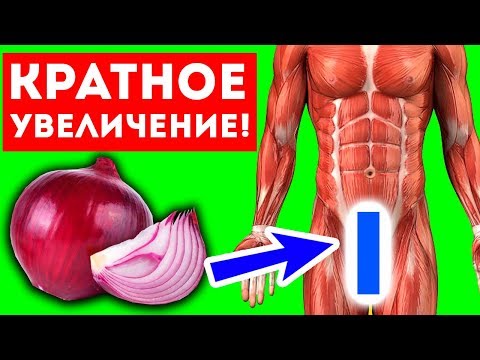 А ЧТО БУДЕТ, ЕСЛИ ЕСТЬ ЛУК КАЖДЫЙ ДЕНЬ?