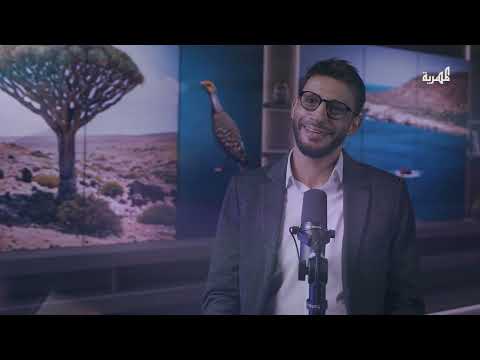 جنة سقطرى | دليل السائح للسفر إلى سقطرى من الفكرة حتى العودة