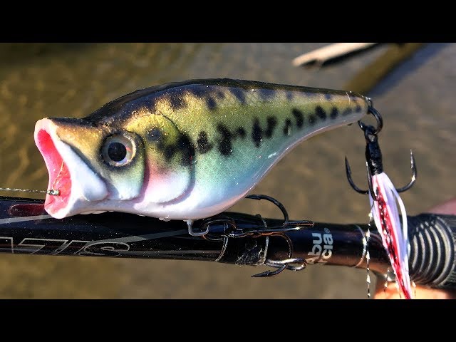 Top Water Popper  One Day Build to Catch 
