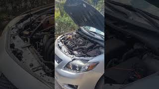 Be aware of rebuilt-title vehicles. #toyota #autorepair #toyotacorolla