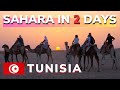 Tunisian Sahara 2 Day Tour From Hammamet Susa Monastyr El Jam Matmata Douz Tauzar Chebika 