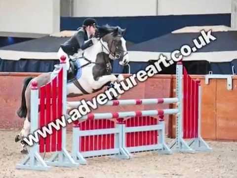 FOR SALE!! 142cm JC bsja pony. Logan Lightening!