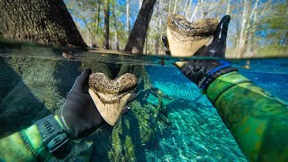 Uncovering RARE Fossils Underwater In DANGEROUS River!! (unexpected artifact uncovered)