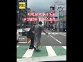 阿北拄拐杖卡路中央！路人.駕駛接力幫忙暖翻網友：畫面有洋蔥