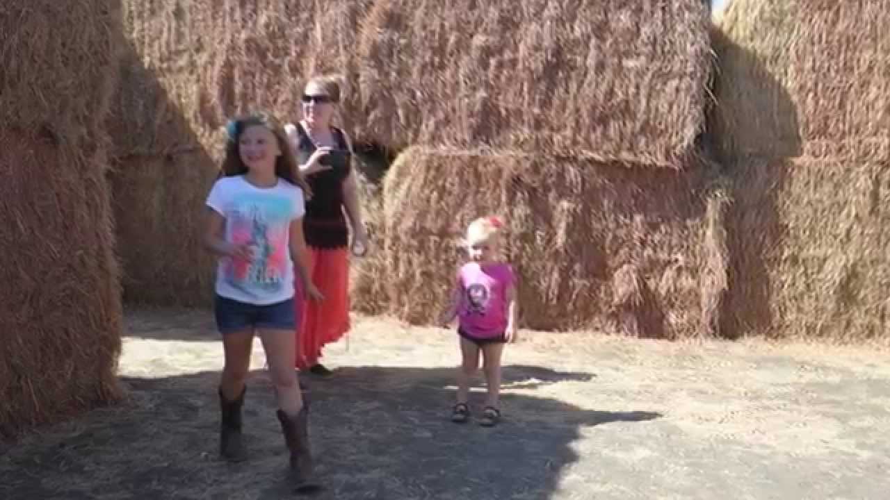 North Texas Hay Maze Join Us at Preston Trail Farms in Gunter, Texas