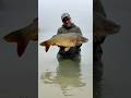 CARPFISHING CarpBilancino! COMPLEANNO!