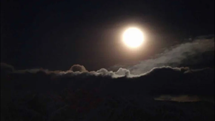 Michael Whalen "Moonglow" (Official Video)