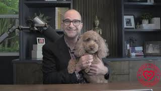 Louis Carter on Mission Pet Health: #1 Most Loved Veterinary Workplace in America | 4-Year Certifica